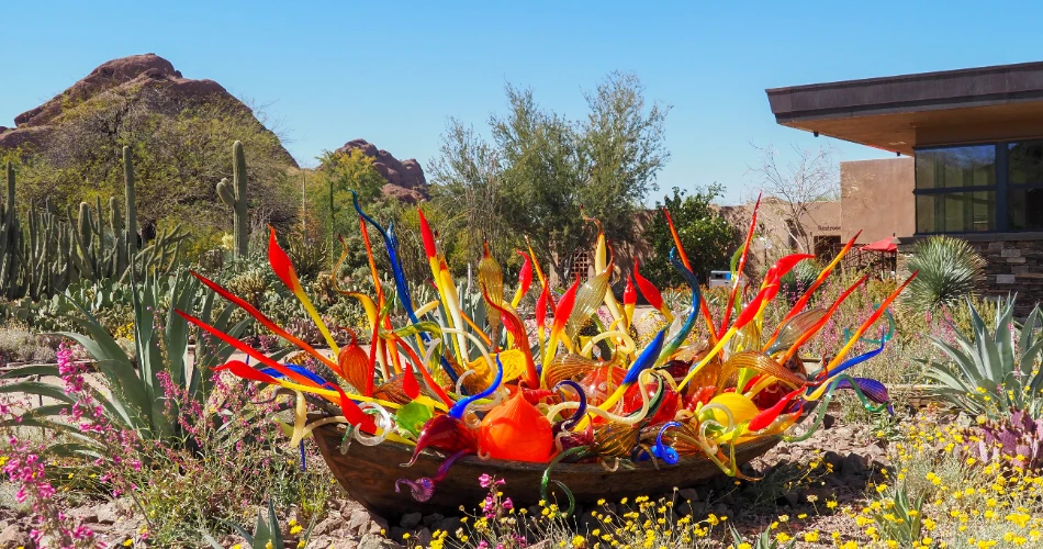 10 Best Things to Do in Phoenix with Kids