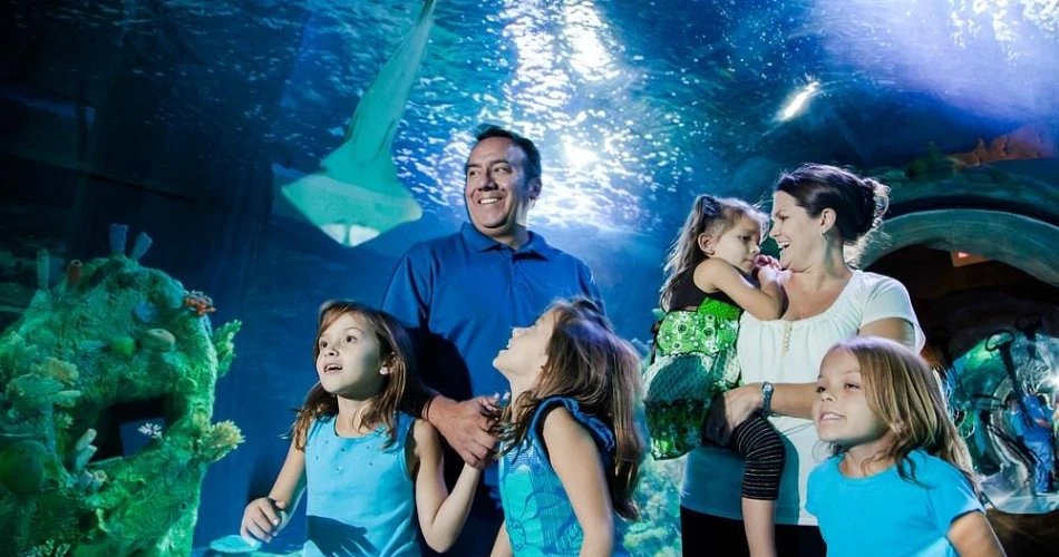 10 Best Things to Do in Phoenix with Kids