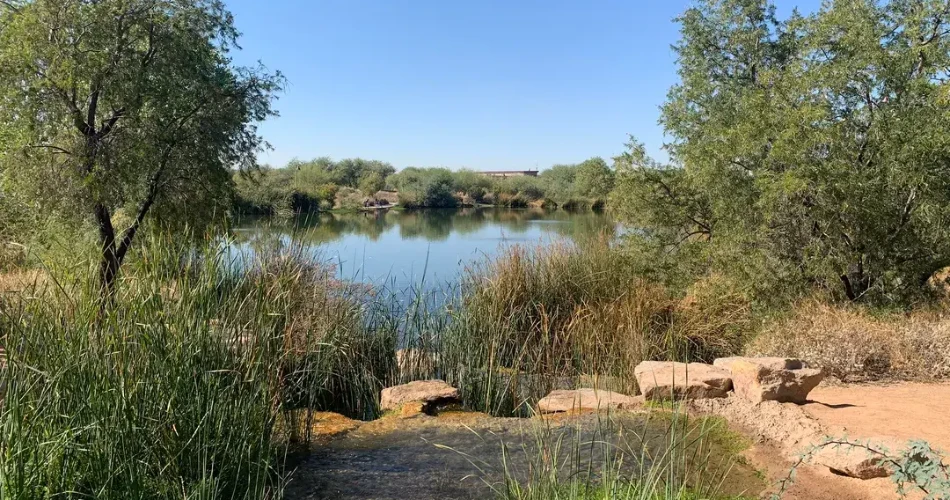10 Best Things to Do in Phoenix with Kids