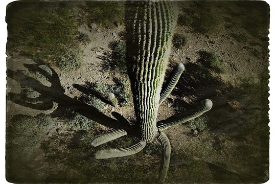 Imagen del tour 4