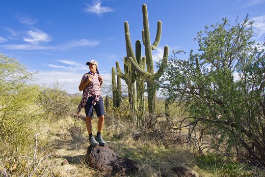 Imagen del tour 6