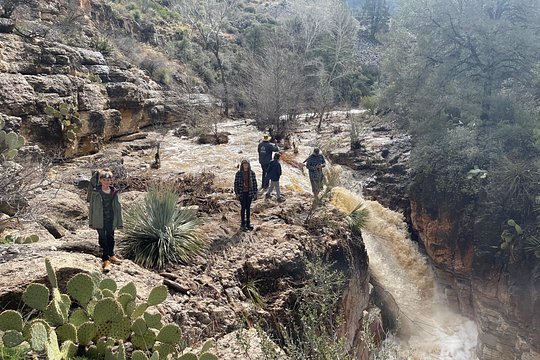 Tour image 6